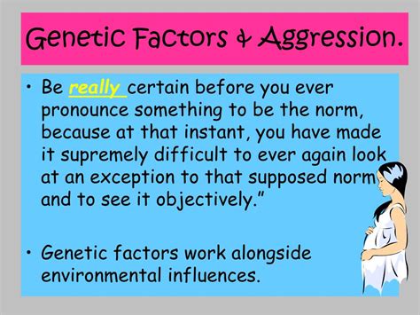 Is there a gene for aggression?